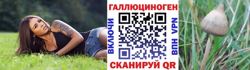 даркнет сайт  Кашин  Галлюциногенные грибы Psilocybe 