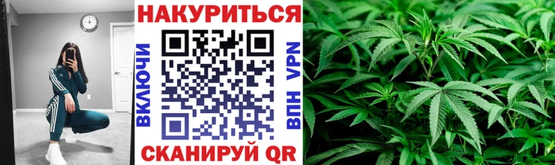 где найти   Кашин  Канабис планчик 